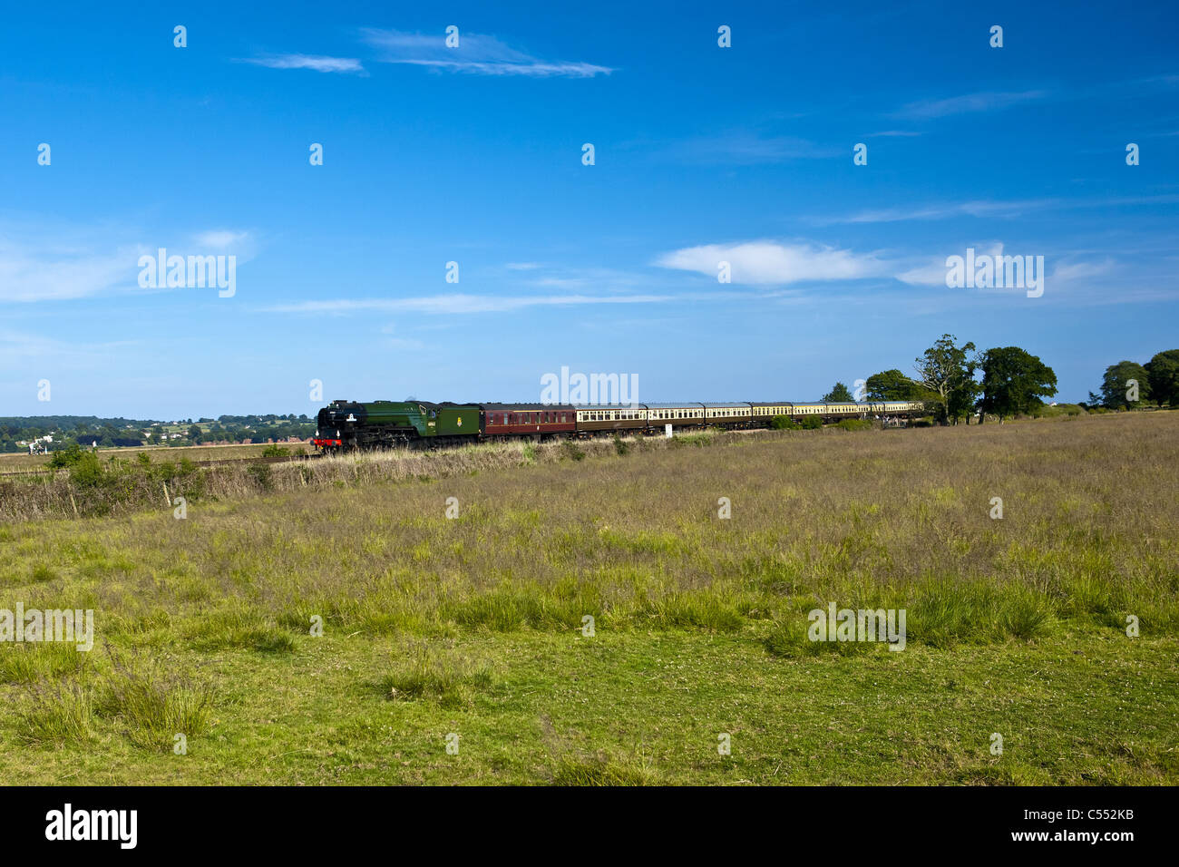 Torbay Express, voce lungo il fiume Exe. Foto Stock