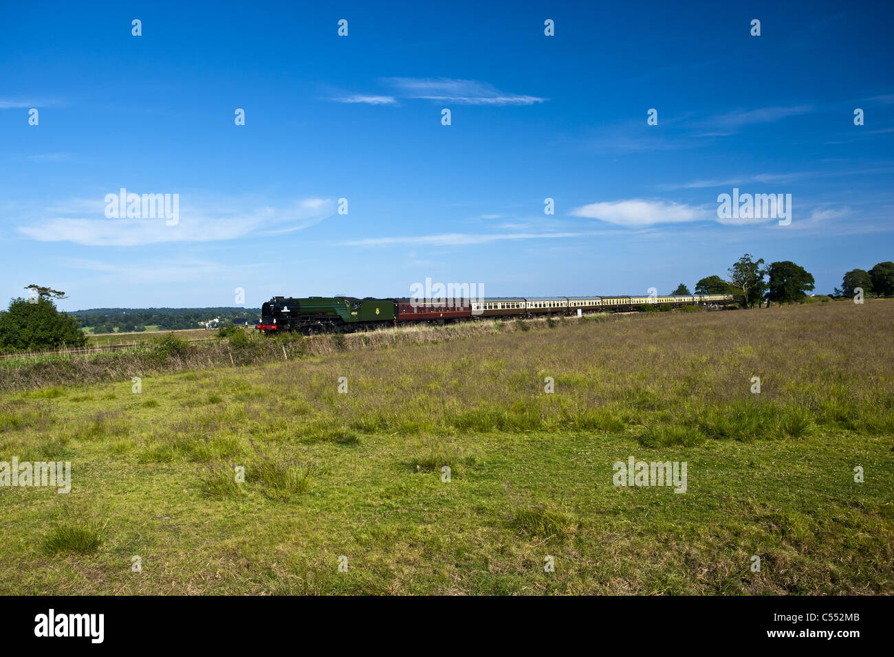Torbay Express, voce lungo il fiume Exe. Foto Stock