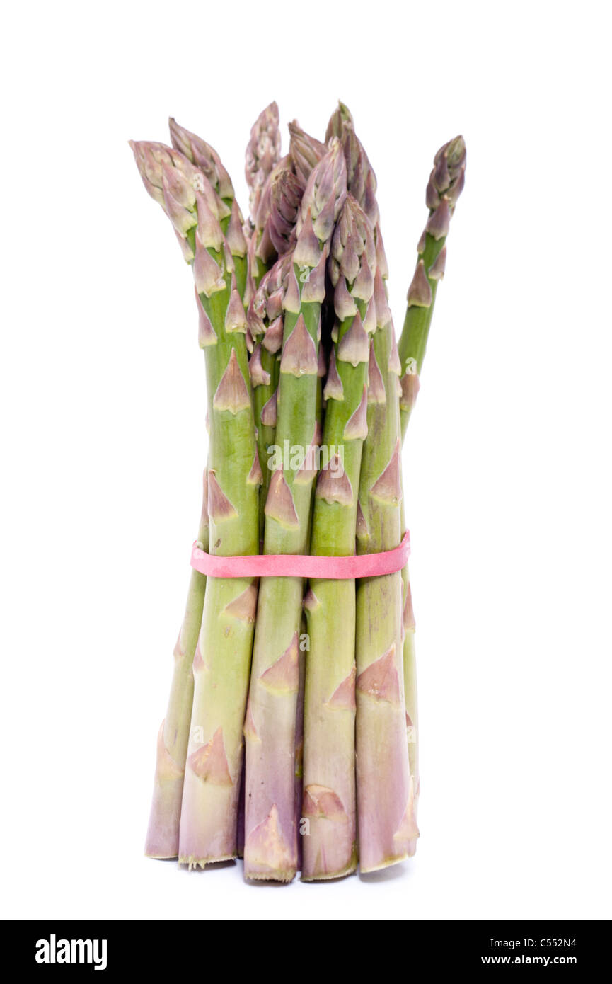Un mazzetto di asparagi su sfondo bianco Foto Stock