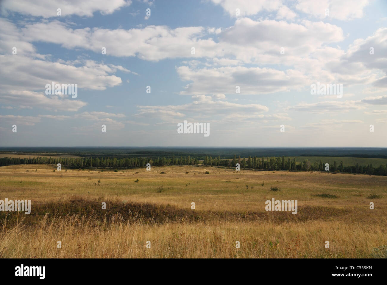 In primo piano della steppa, pascoli, quindi gli alberi e bosco e cielo molto nuvoloso Foto Stock