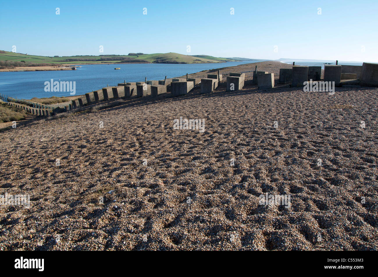 Denti di draghi, calcestruzzo anti-serbatoio ostacoli, ancora rimanente dopo la Seconda Guerra Mondiale, su Chesil Beach in Dorset, Inghilterra, GB Foto Stock