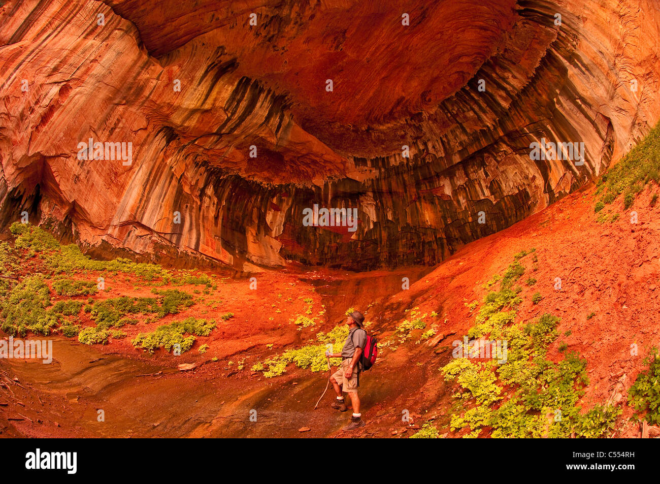 L'uomo la visualizzazione di pareti rosse di doppia arcata alcova Taylor Creek Trail Kolob canyon Canyon Zion National Park, Utah Foto Stock