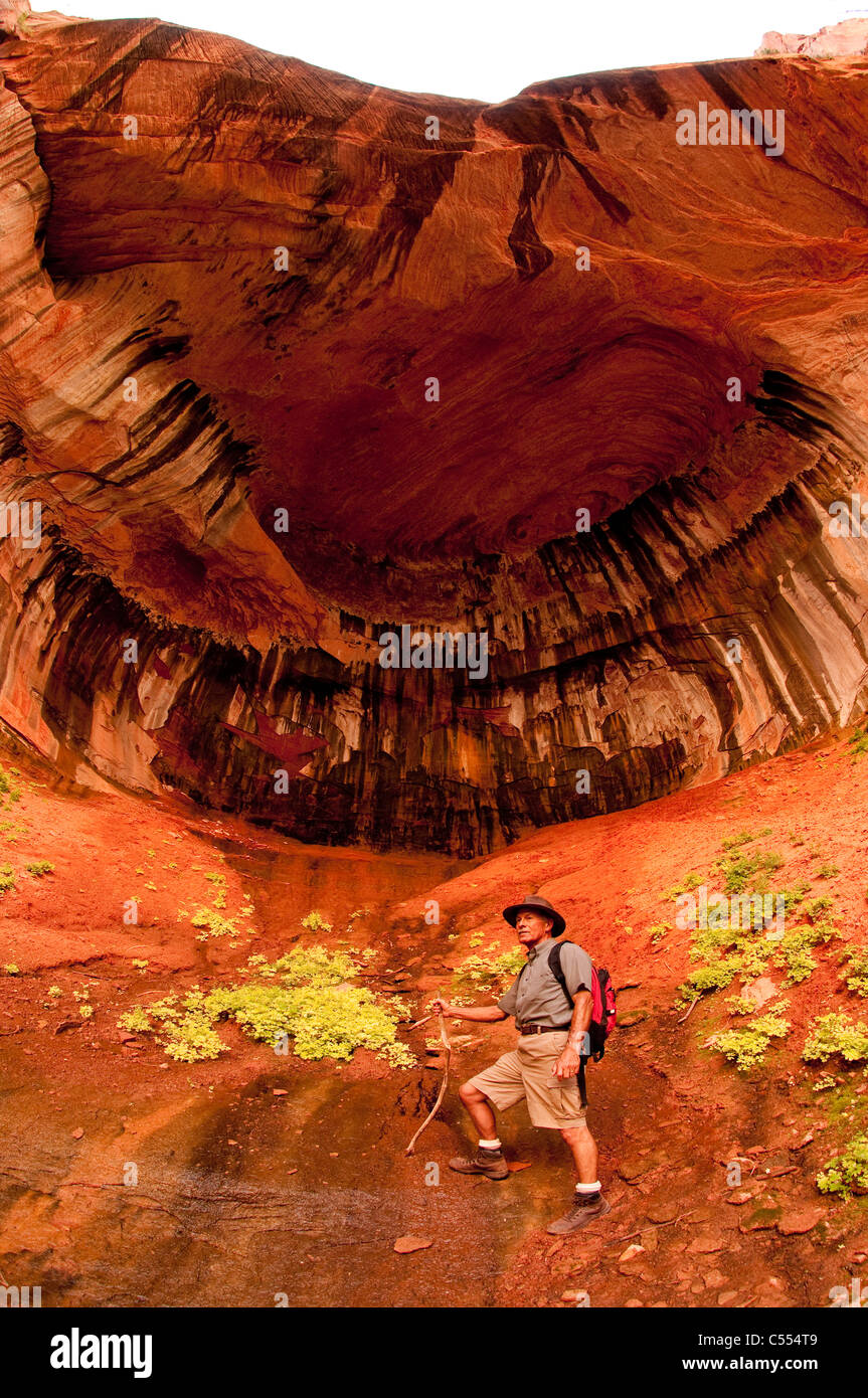 L'uomo la visualizzazione di Red Rock Canyon pareti della doppia arcata alcova Taylor Creek Trail Kolob Canyon Zion National Park, Utah Foto Stock