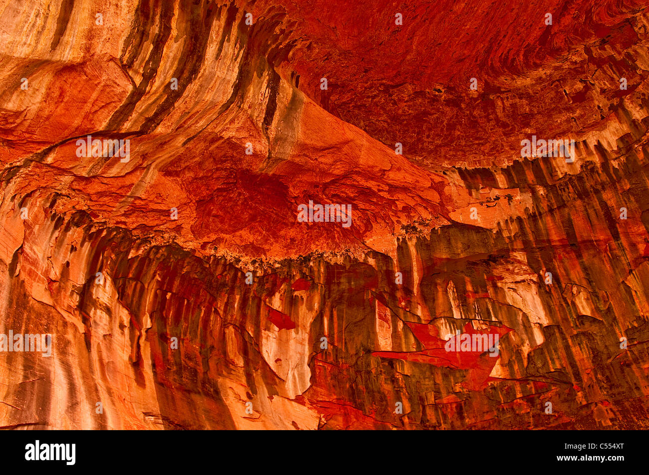 Il Red Rock Canyon pareti della doppia arcata alcova Taylor Creek Trail Kolob Canyon Zion National Park, Utah Foto Stock