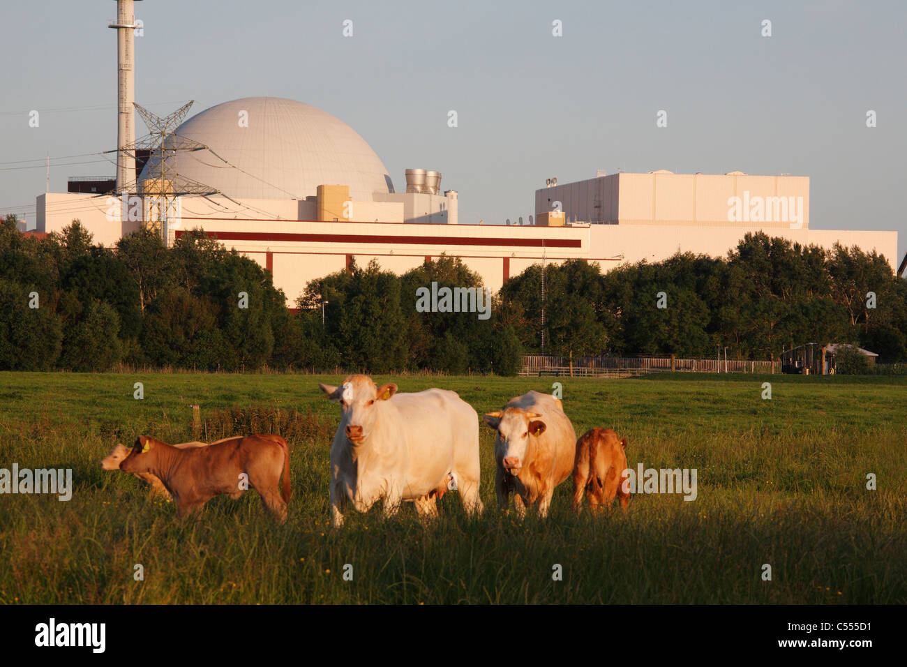 Centrale nucleare di Brokdorf, Germania Foto Stock