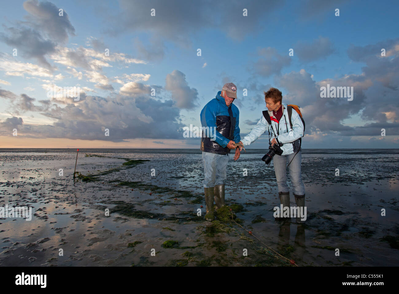 I Paesi Bassi, Ballum, isola di Ameland, appartenente al mare di Wadden Islands. Fisherman e donna che guarda la net. Foto Stock