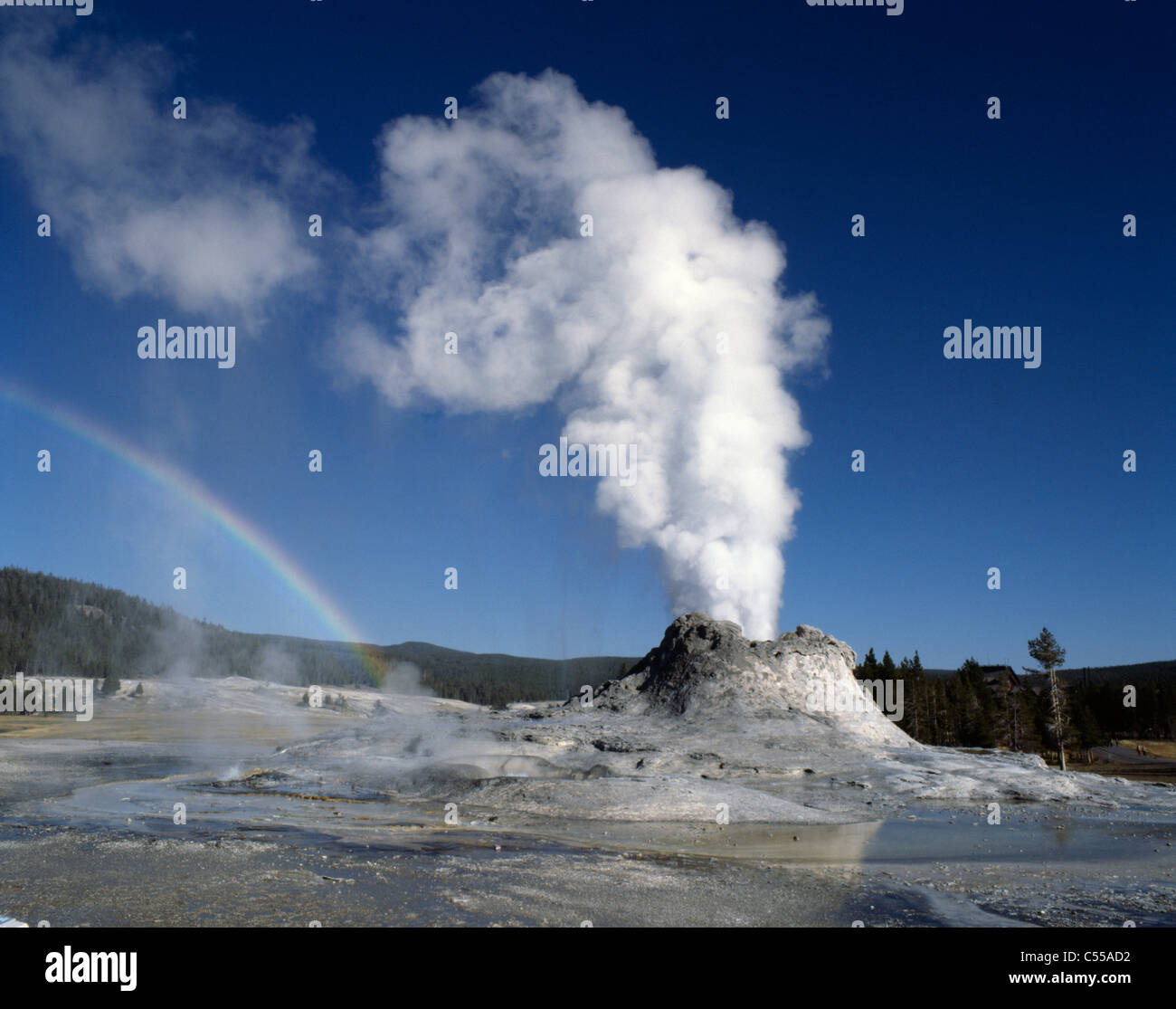 Stati Uniti d'America, Wyoming, il Parco Nazionale di Yellowstone, Castle Geyser, fumo in eruzione da geyser Foto Stock