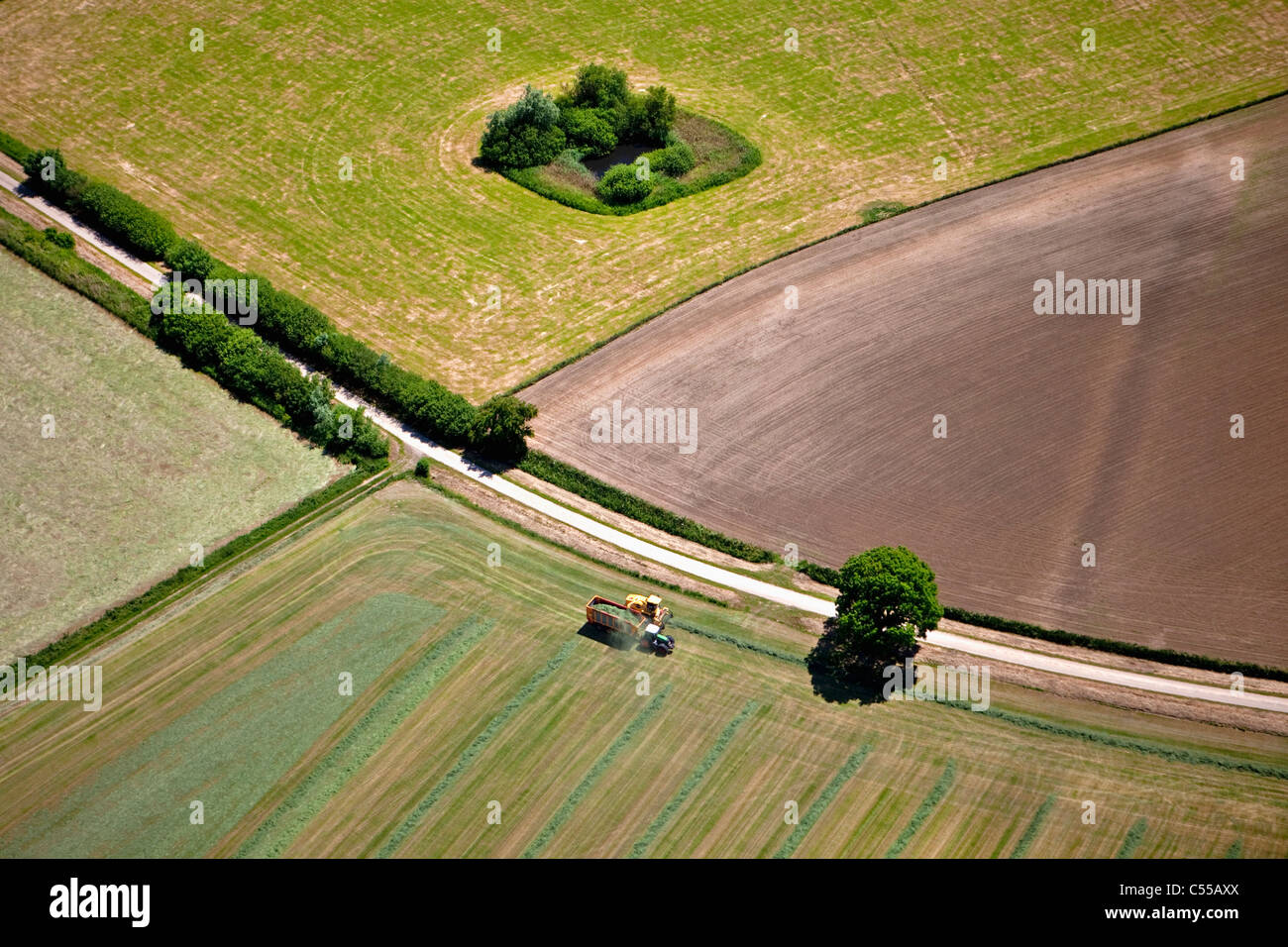I Paesi Bassi, Buren, agricoltore lavora su pascoli con il trattore. Antenna. Foto Stock