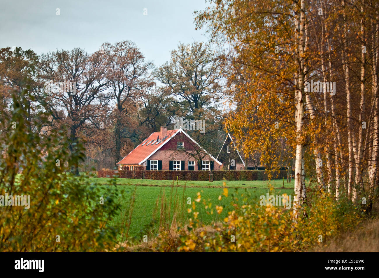 I Paesi Bassi, Aalten, colori autunnali, farm. Foto Stock