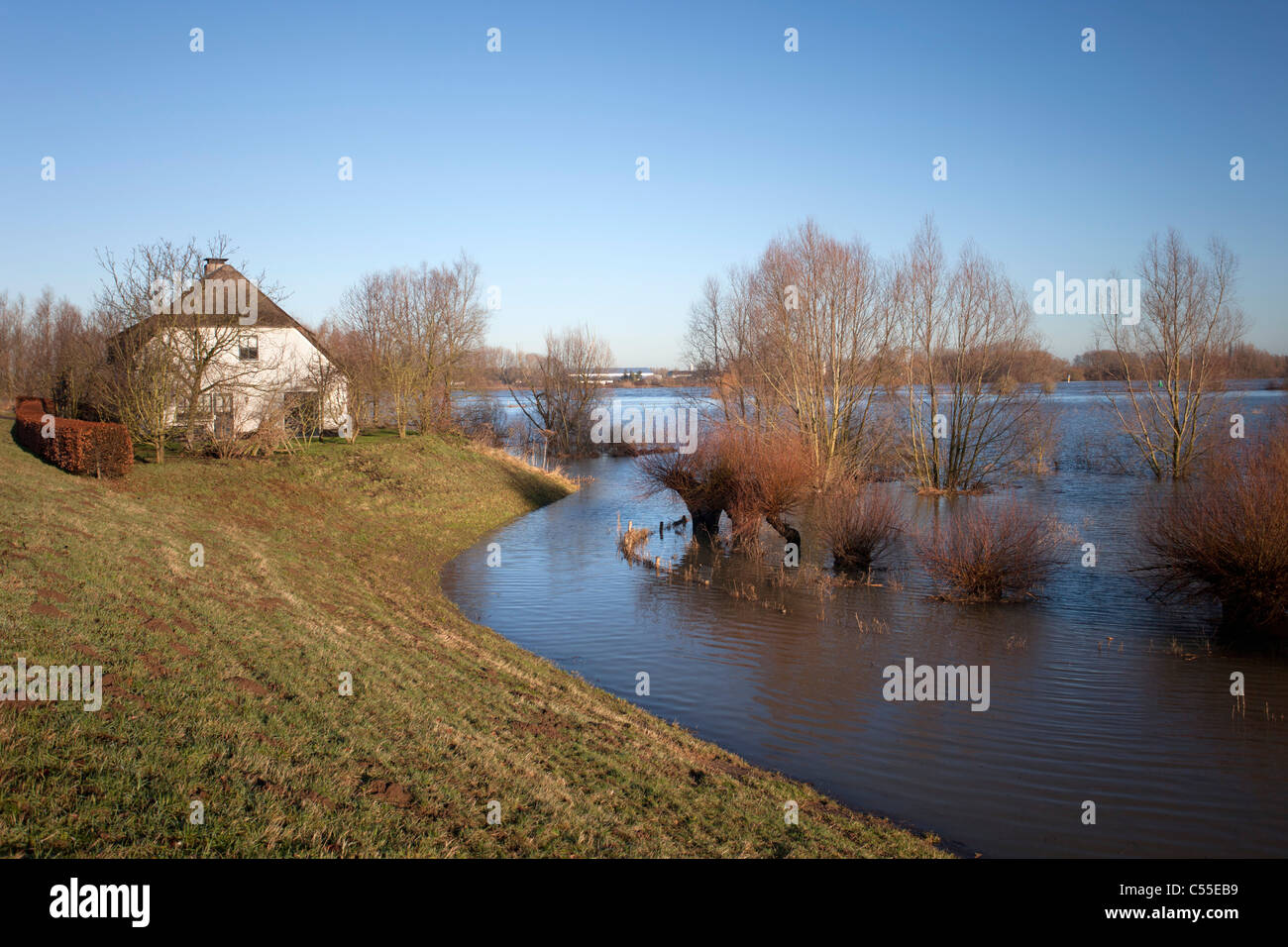 Nei Paesi Bassi, vicino Nijmegen, alto livello di acqua nel fiume chiamato Waal. dike Foto Stock