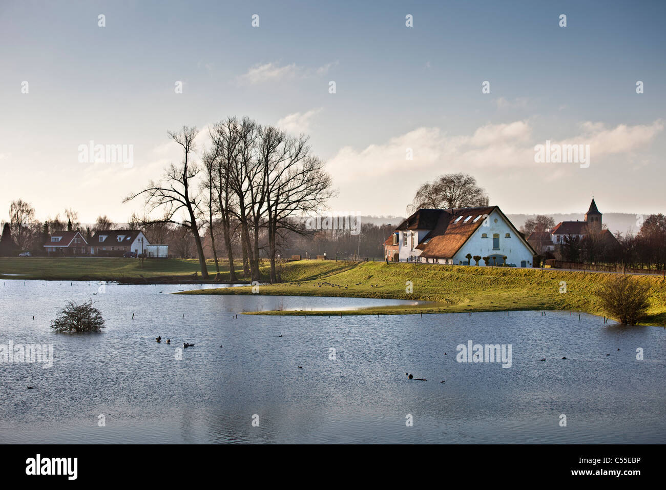 Nei Paesi Bassi, vicino Nijmegen, alto livello di acqua nel fiume chiamato Waal. dike Foto Stock