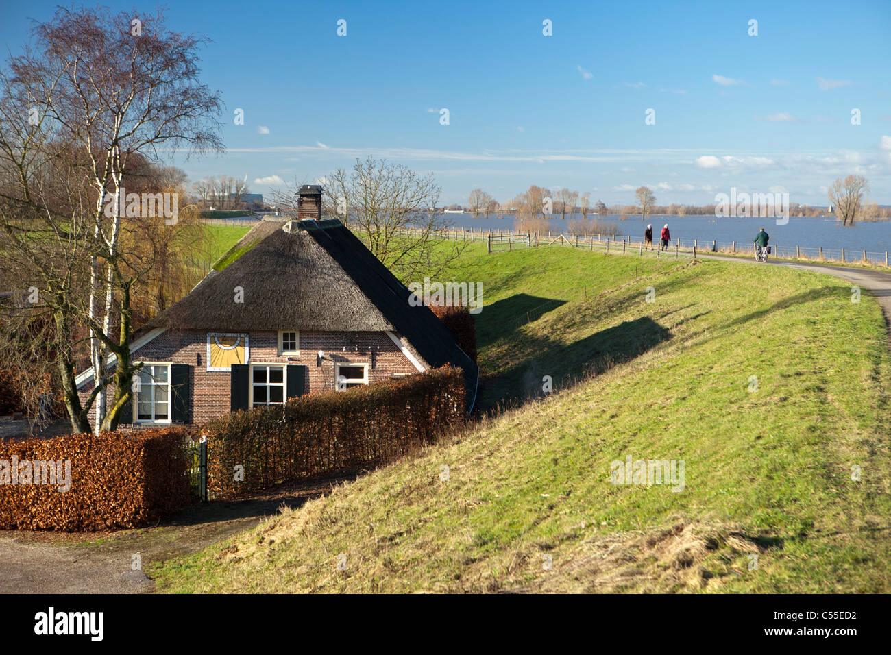 Nei Paesi Bassi, vicino Nijmegen, alto livello di acqua nel fiume chiamato Waal. dike escursionisti e ciclisti. Foto Stock