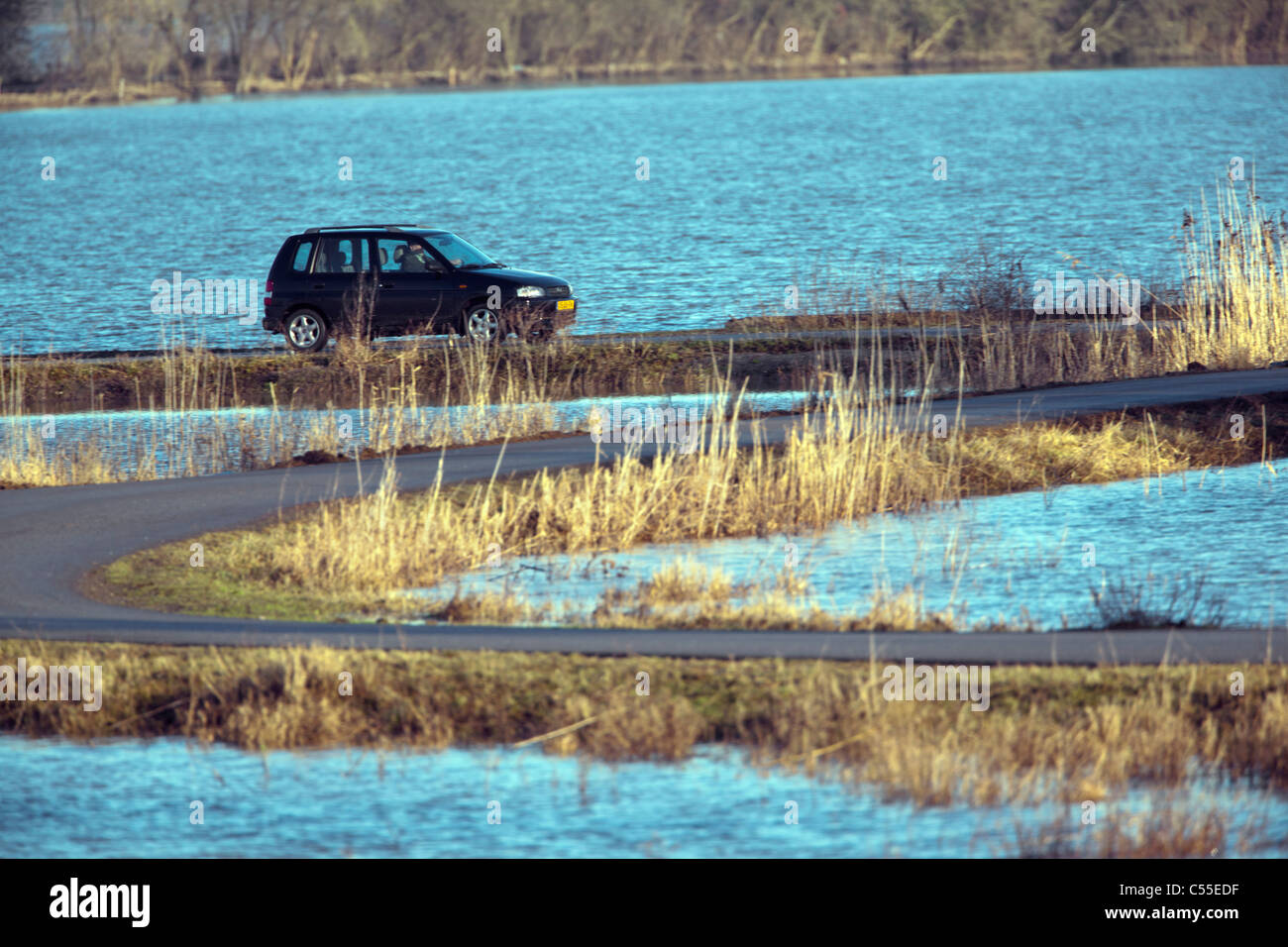 Nei Paesi Bassi, vicino Nijmegen, alto livello di acqua nel fiume chiamato Waal. Foto Stock
