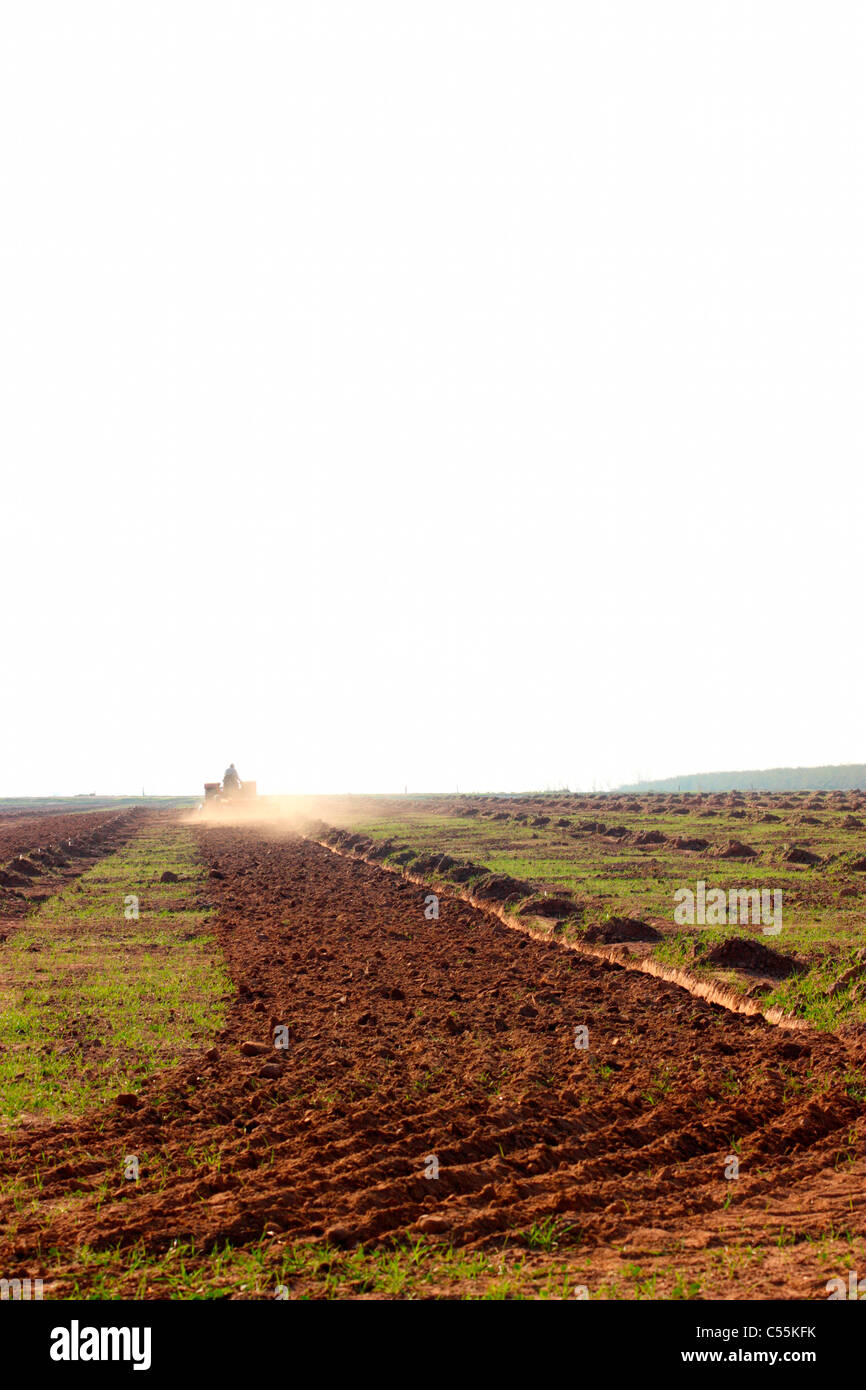 Il contadino arando un campo, Stanislao County, California, Stati Uniti d'America Foto Stock