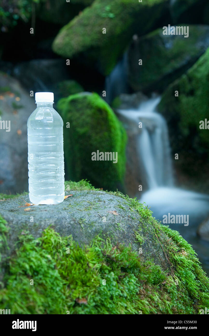 Acqua fredda bottiglia su moss Foto Stock