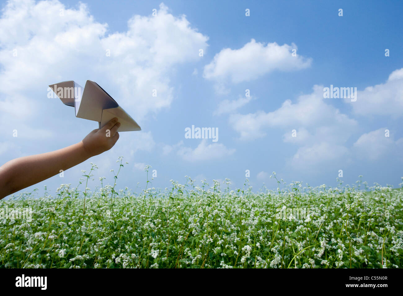 Volo di carta in mano nel grano saraceno di campo dei fiori Foto Stock