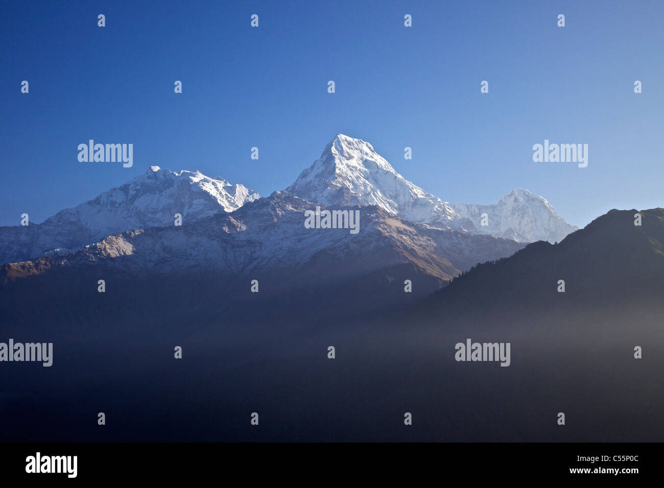 La gamma della montagna, Annapurna I, Poon Hill, Santuario di Annapurna Himalaya,, Nepal Foto Stock