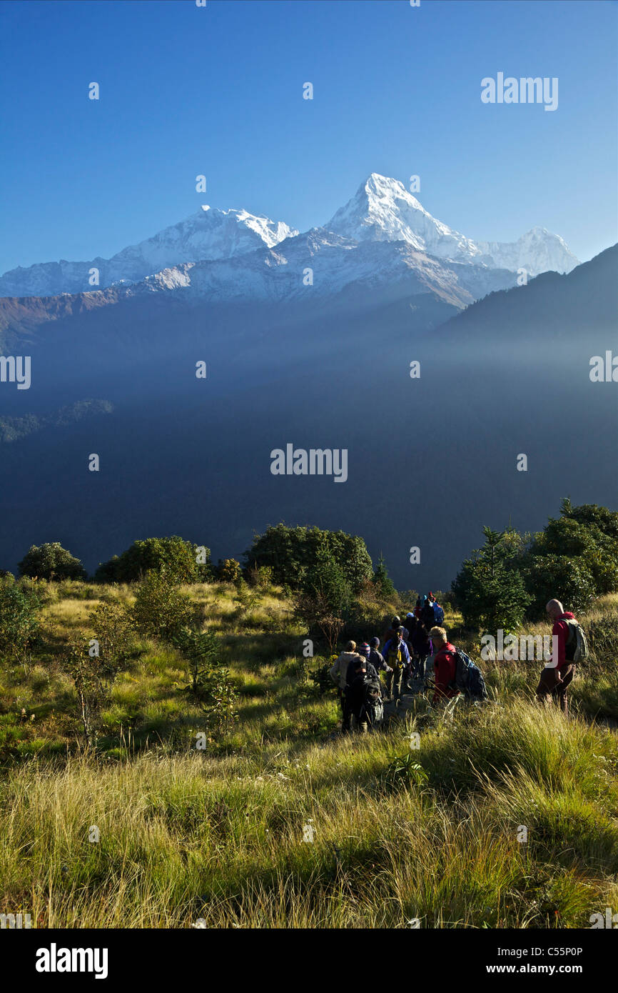 Gli escursionisti su una collina, Annapurna I, Poon Hill, Santuario di Annapurna Himalaya,, Nepal Foto Stock