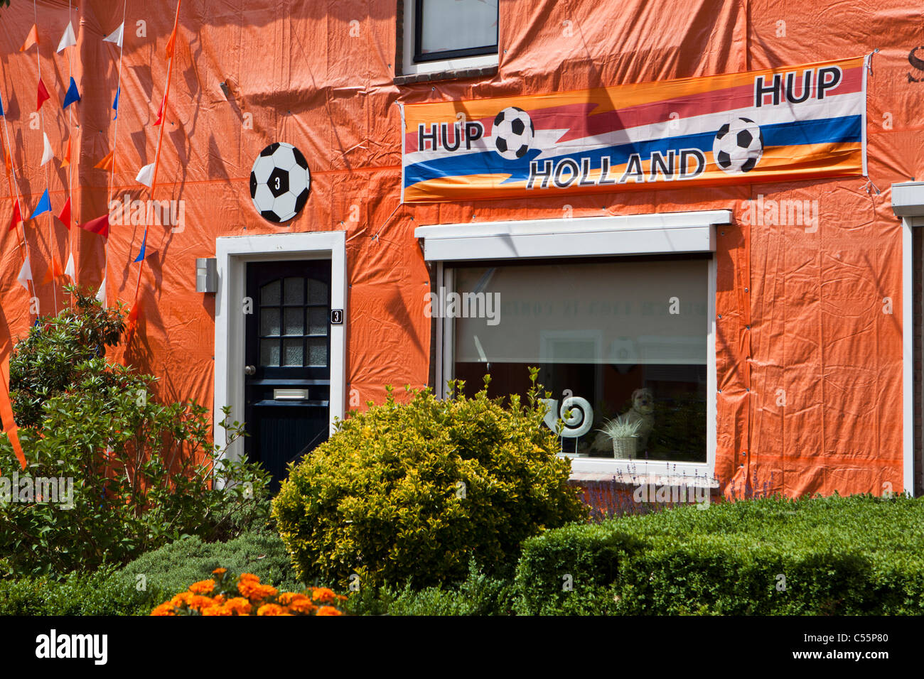 I Paesi Bassi, Goirle, Arancione decorata via Irene Straat. Celebrando la vittoria sul Giappone durante la Coppa del Mondo di Calcio 2010. Foto Stock