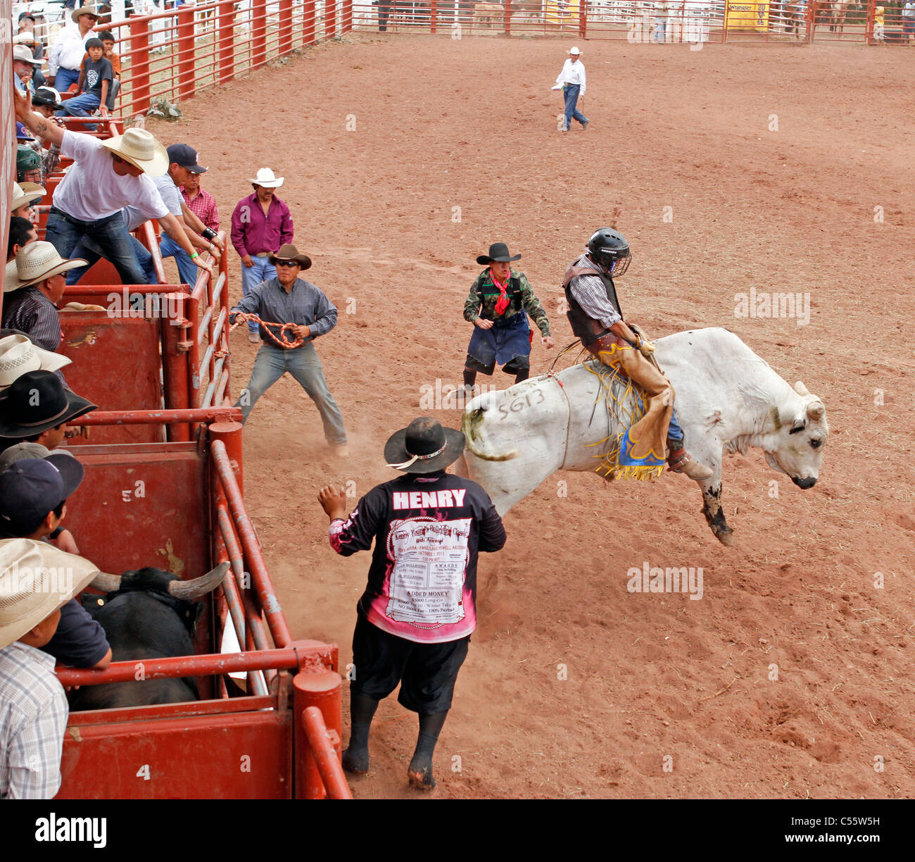 Concorrente del toro di equitazione evento presso l annuale Indian Rodeo tenutasi a Mescalero, Nuovo Messico. Foto Stock