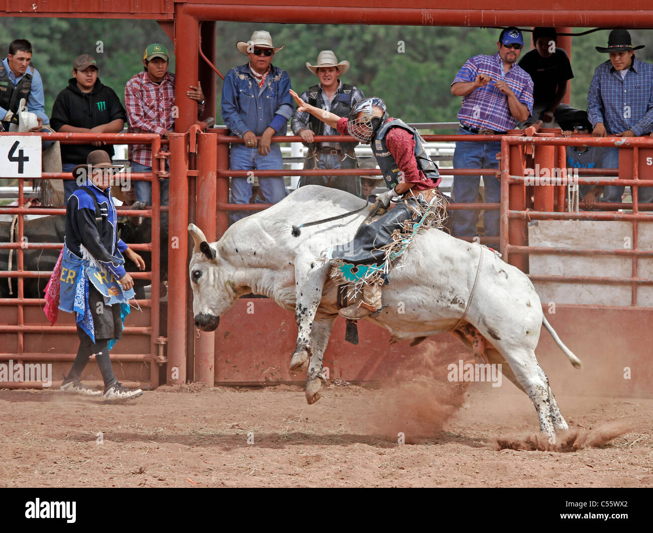 Concorrente del toro di equitazione evento presso l annuale Indian Rodeo tenutasi a Mescalero, Nuovo Messico. Foto Stock