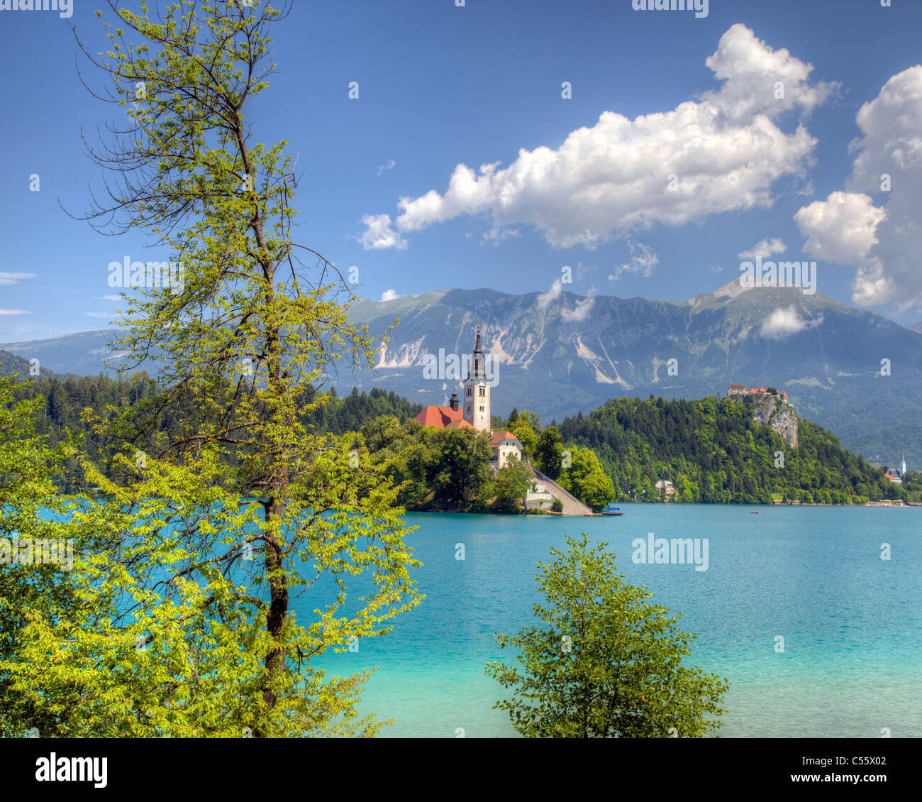 SLO - Gorenjska regione: Lago di Bled e isola chiesa dell Assunzione Foto Stock