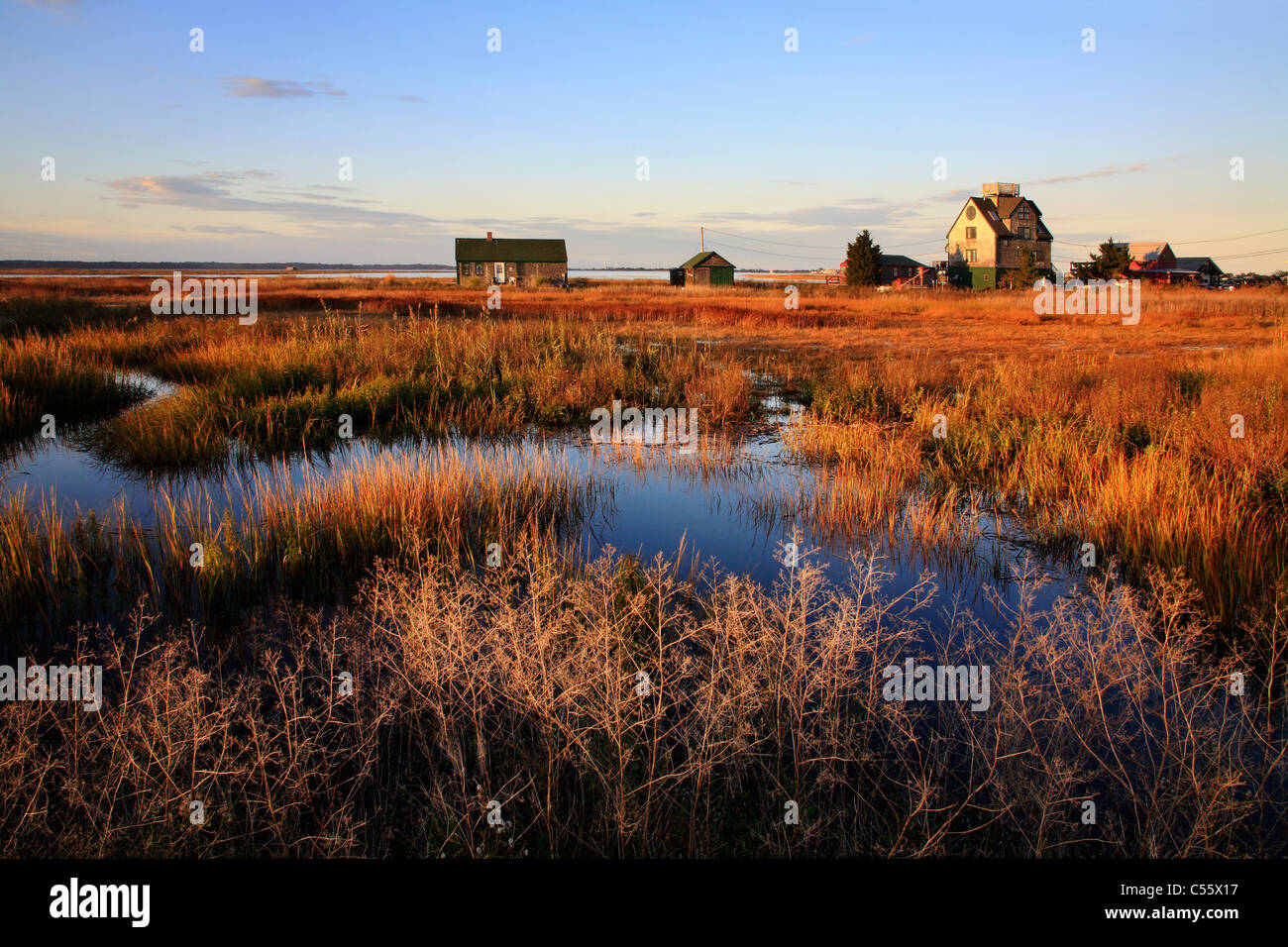 Una palude costiera nel nord del Massachusetts lungo la prugna isola Turnpike, STATI UNITI D'AMERICA Foto Stock