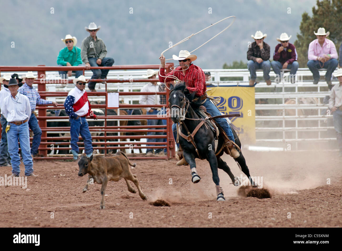 Concorrente in vitello roping evento presso l annuale Indian Rodeo tenutasi a Mescalero, Nuovo Messico. Foto Stock