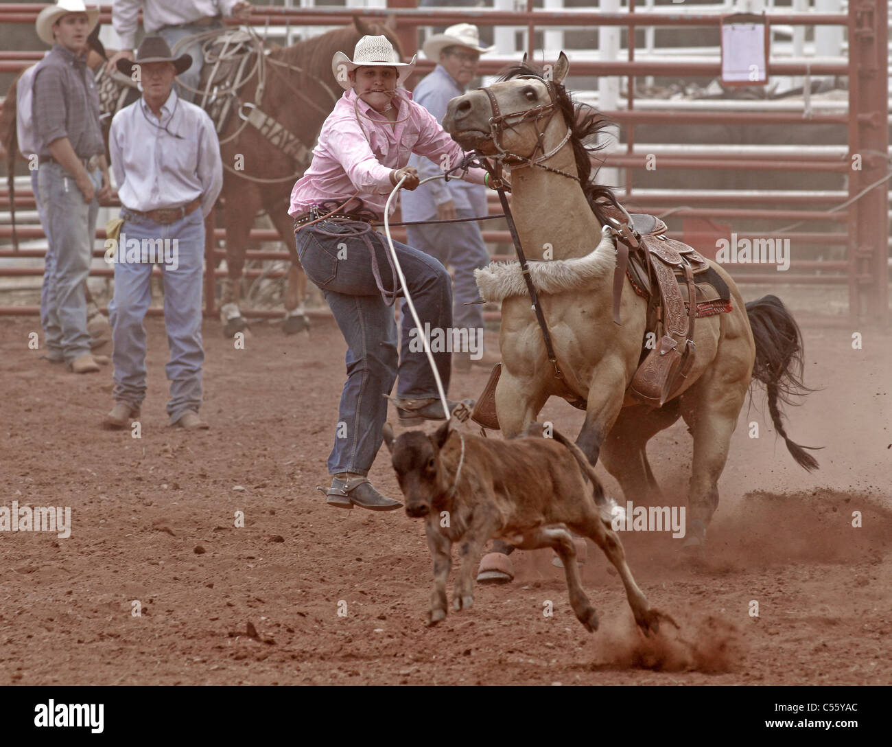 Concorrente in vitello roping evento presso l annuale Indian Rodeo tenutasi a Mescalero, Nuovo Messico. Foto Stock