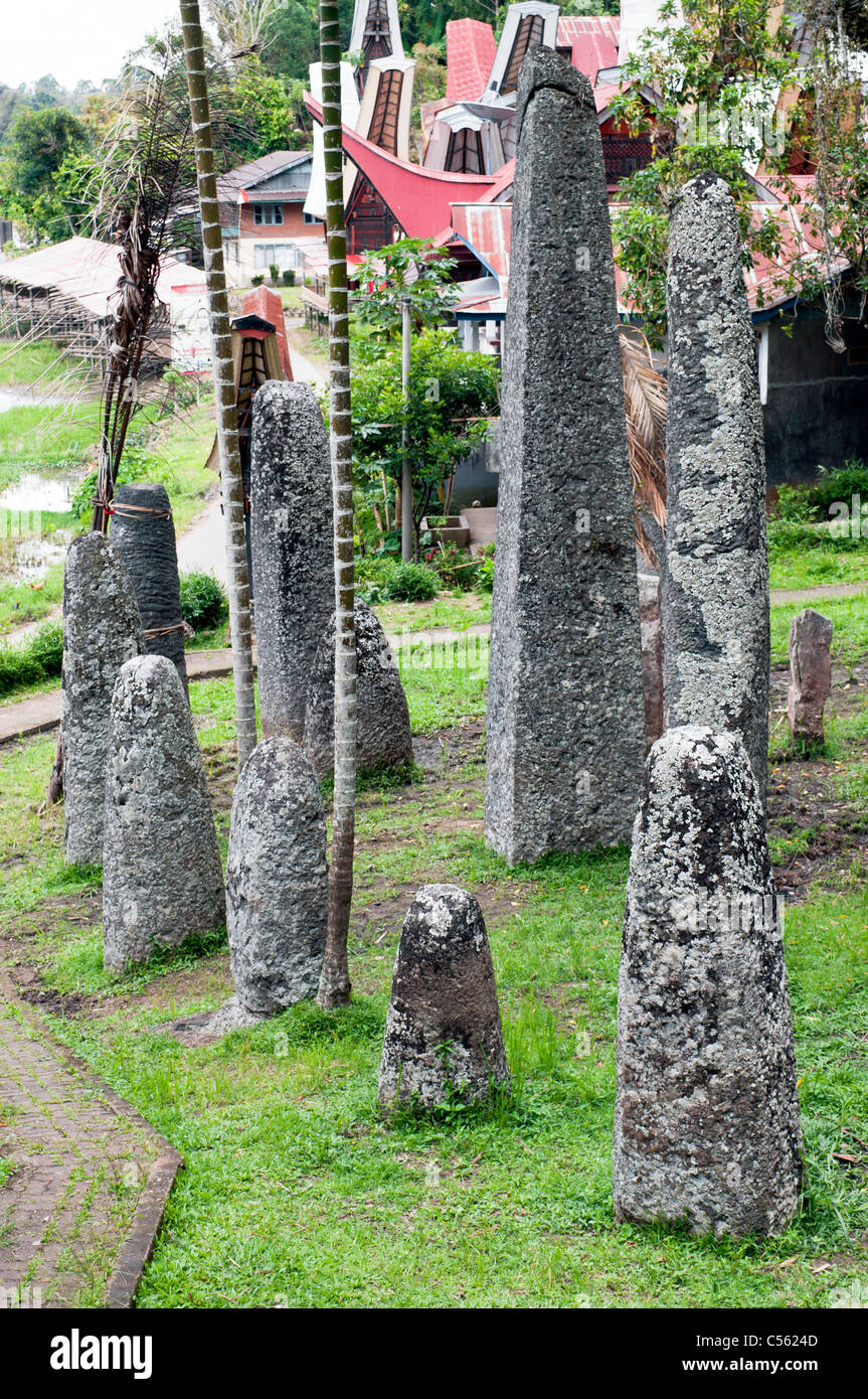 Famiglia domestica tombe tomba in Indonesia Tana Toraja, Sulawesi Foto Stock
