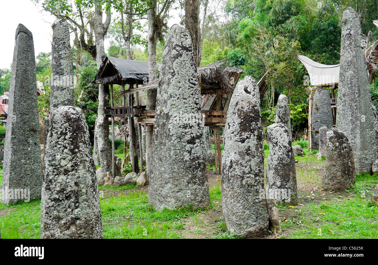 Famiglia domestica tombe tomba in Indonesia Tana Toraja, Sulawesi Foto Stock