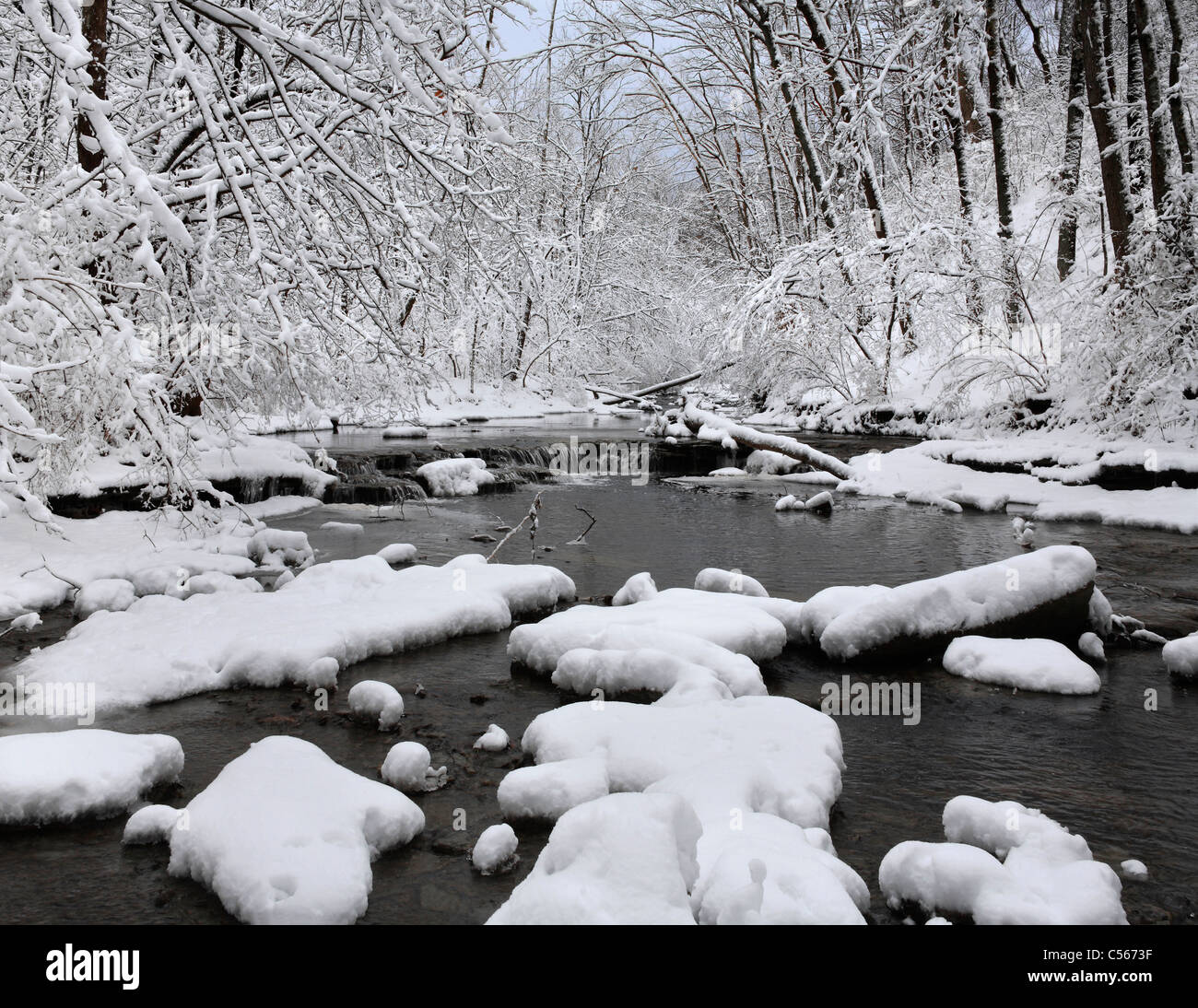 Una coperta di neve Little Creek In inverno, Keehner Park, Southwestern Ohio, Stati Uniti d'America Foto Stock