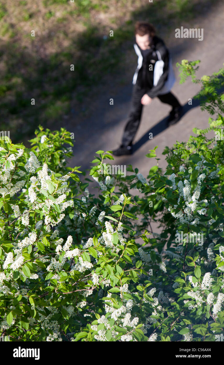 Vista offuscata aerea dell'uomo che cammina da solo, Finlandia Foto Stock