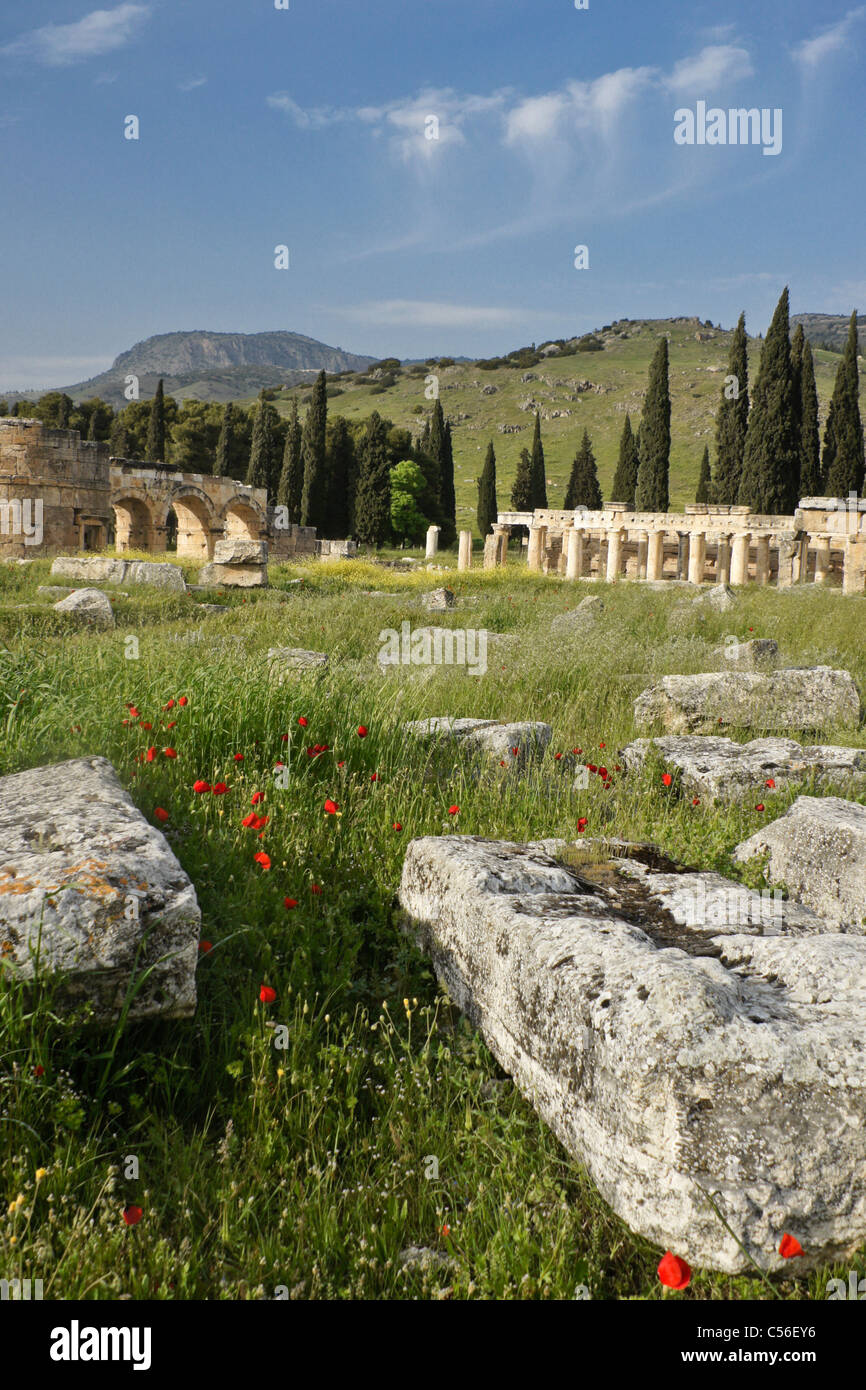 Gate e strade colonnate di necropoli, Hierapolis-Pamukkale, Turchia Foto Stock