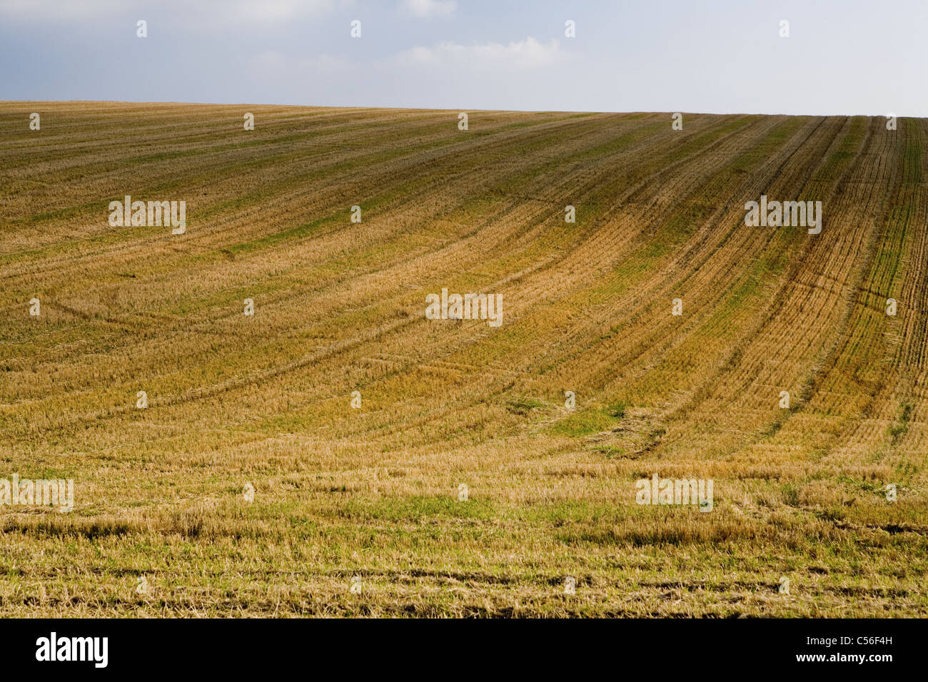 Campo, Regno Unito Foto Stock Campo, Regno Unito Foto Stock