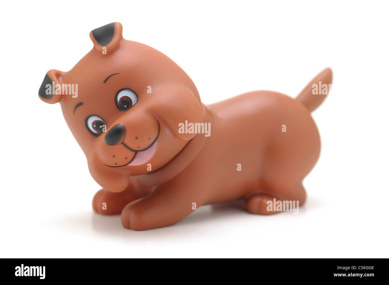 Cane giocattolo cucciolo, Pet Foto Stock