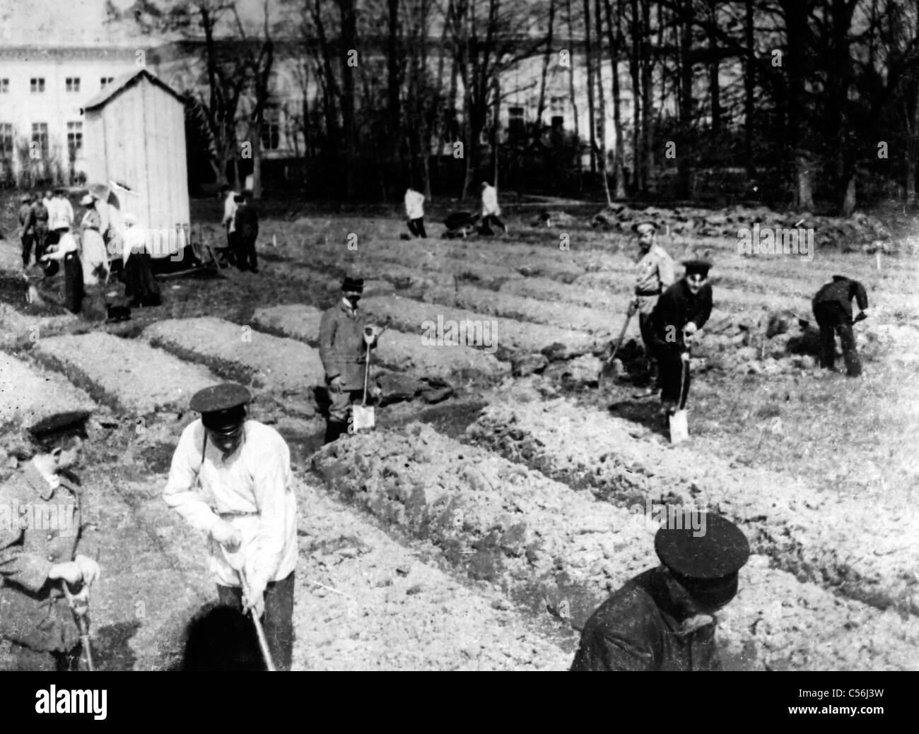 Fotografia mostra lo Zar Nicola II e famiglia giardinaggio presso Alexander Palace durante il confino a Tsarskoe-Selo, 1917. Foto Stock