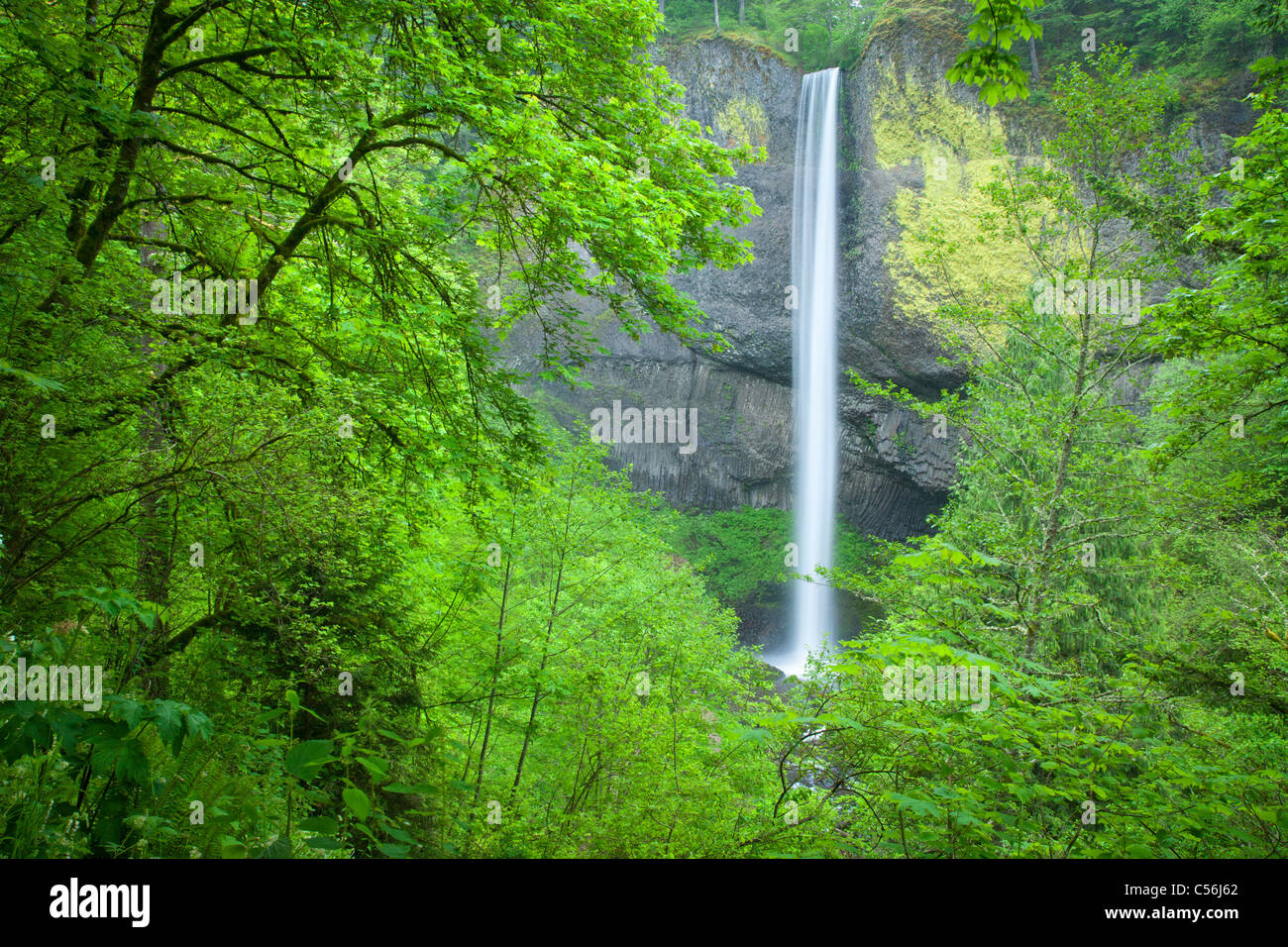 Latourell Falls, Guy W. Talbot parco statale, Columbia River Gorge National Scenic Area, Oregon Foto Stock