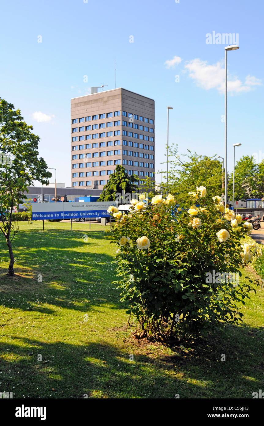Cielo blu soleggiato giorno estivo al Basildon University Hospital, alto edificio e giardini con insegna oltre i fiori gialli Essex Inghilterra Regno Unito Foto Stock
