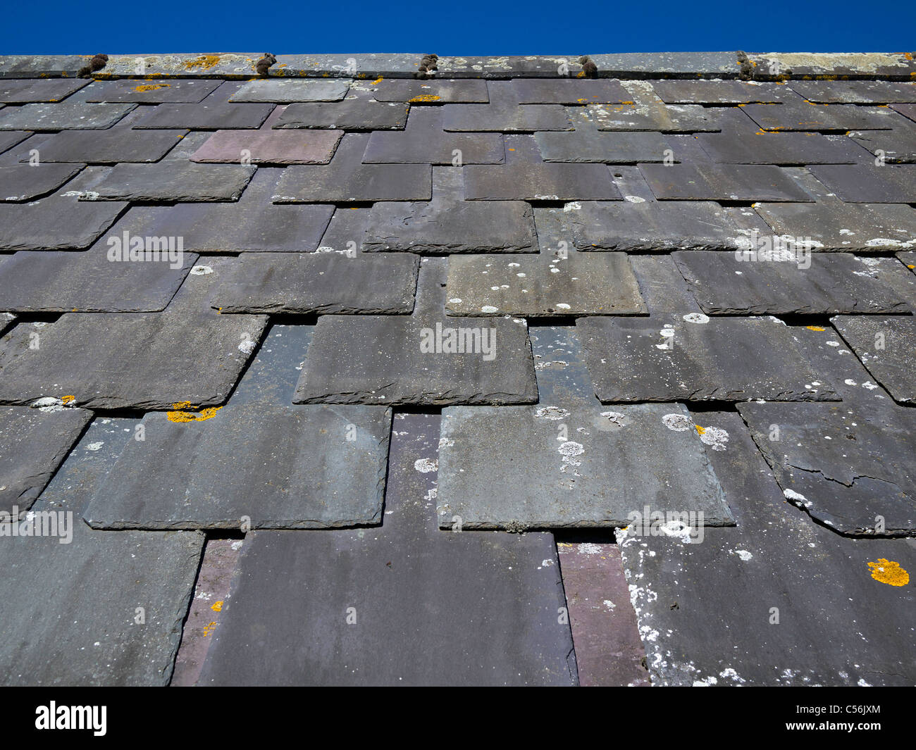 Guardando verso la parte superiore di una vecchia ardesia tetto spiovente Stratford REGNO UNITO Foto Stock