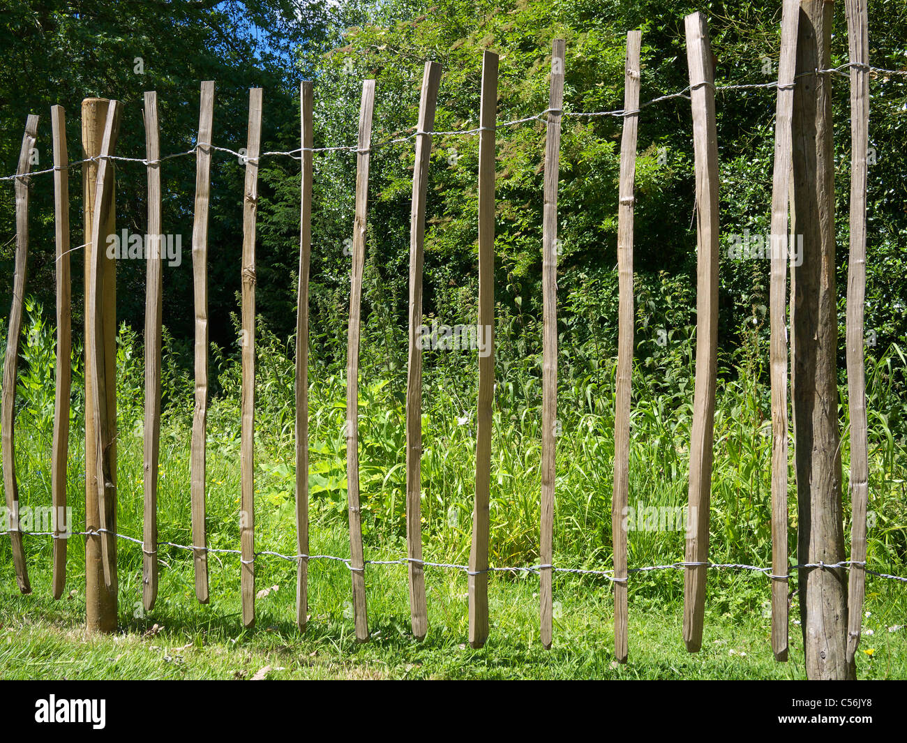 Paling di castagno o recinzione in un giardino Stratford REGNO UNITO Foto Stock