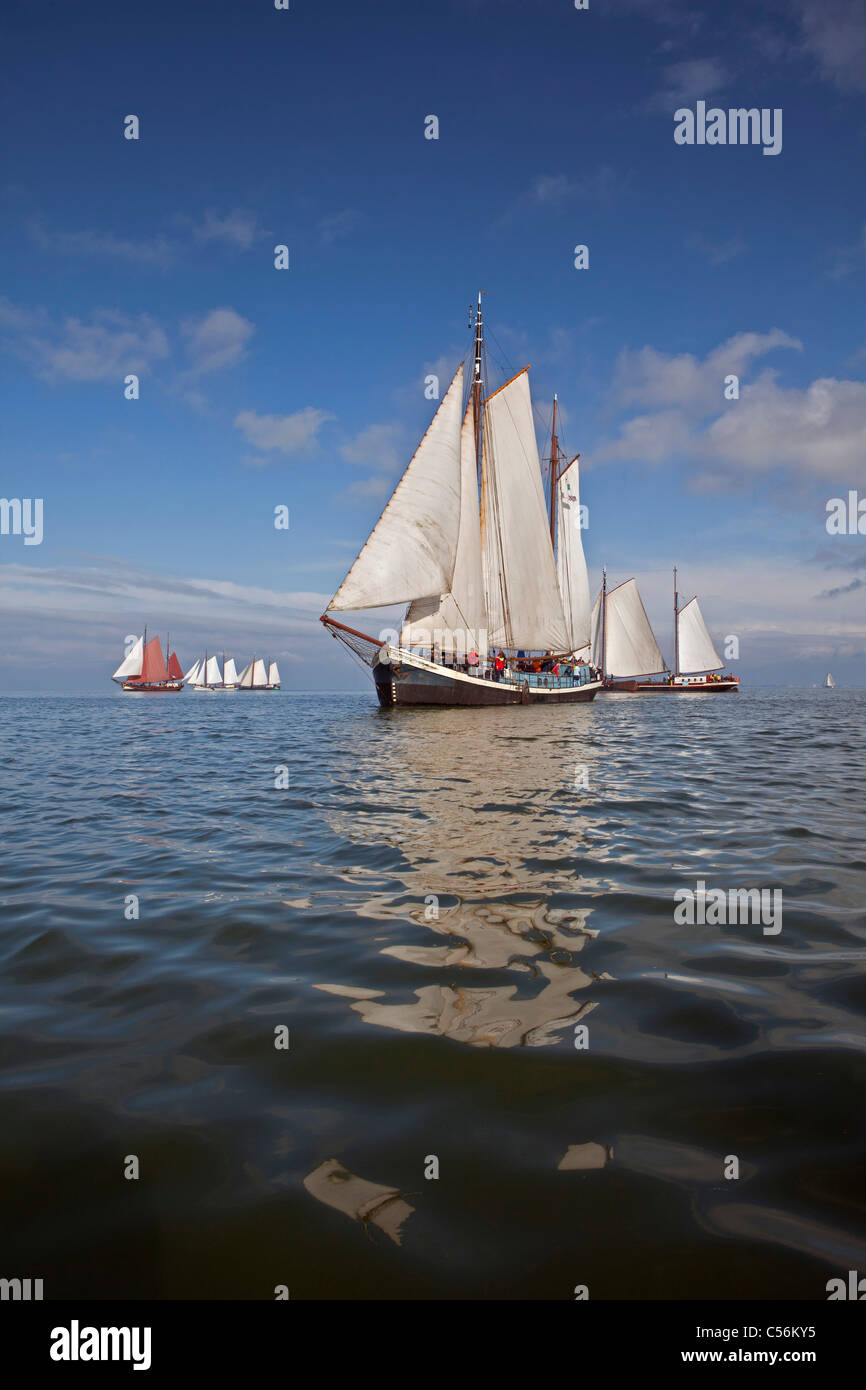 I Paesi Bassi, Enkhuizen. Gara annuale dei velieri tradizionali chiamati Klipperrace sul lago chiamato lago IJsselmeer. Foto Stock