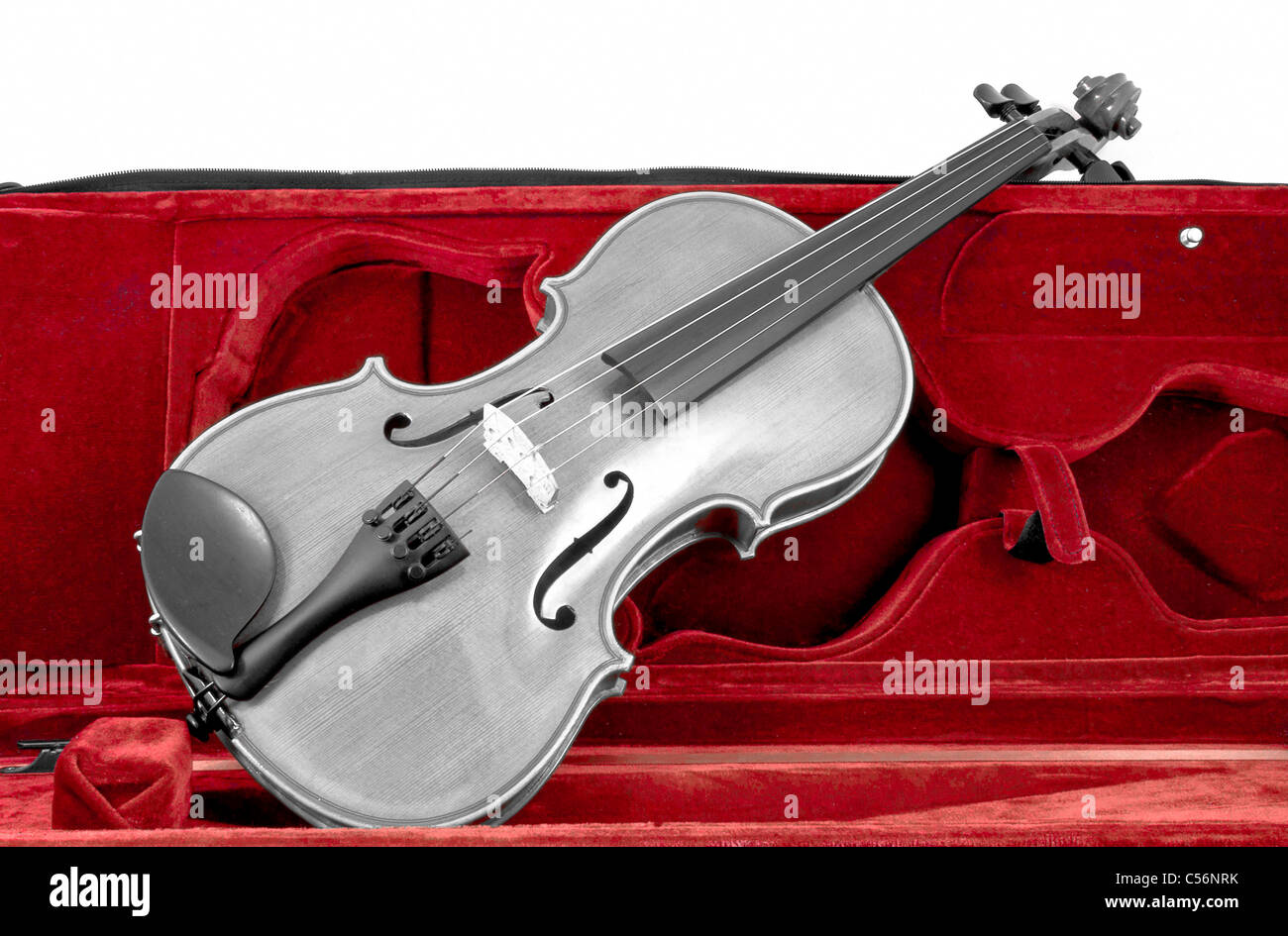Blacnk bianco e violino italiano in rosso bruno caso isolato su bianco Foto Stock