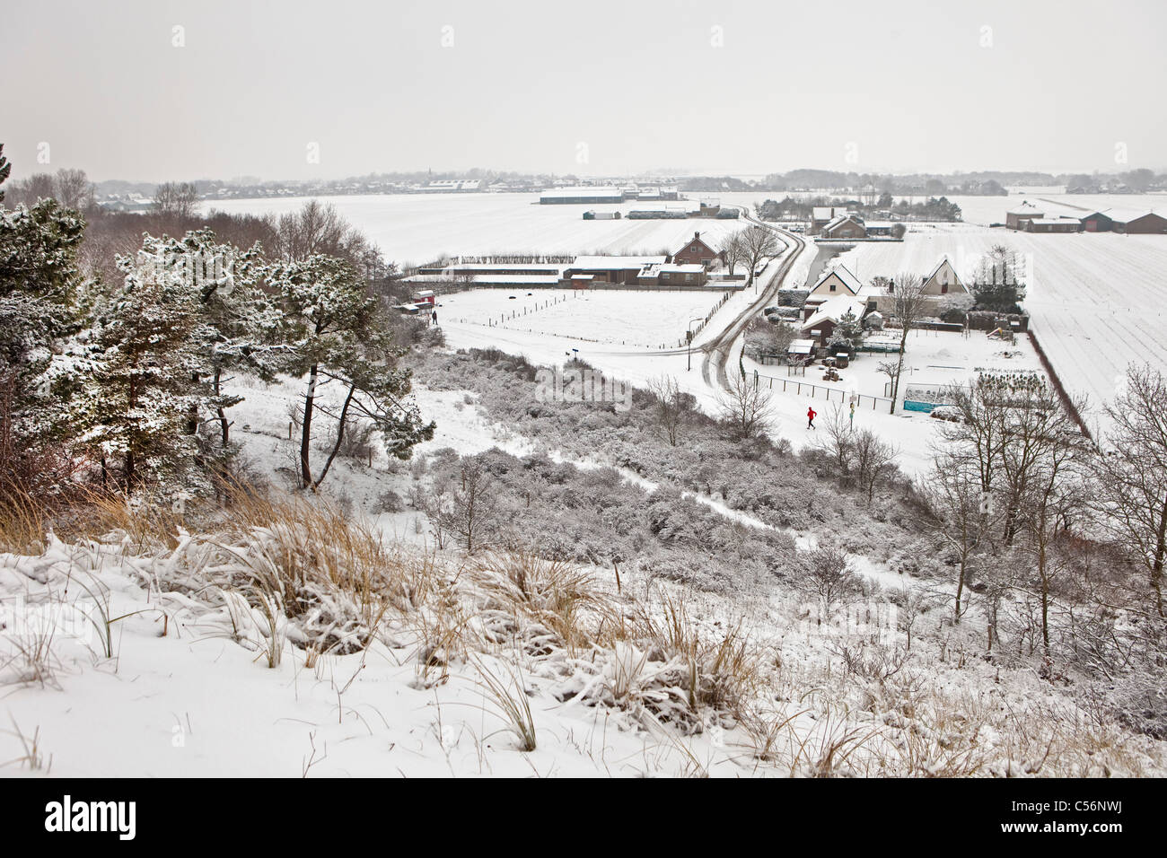 I Paesi Bassi Egmond aan Zee, vista da dune su strade coperte di neve aziende agricole. Foto Stock