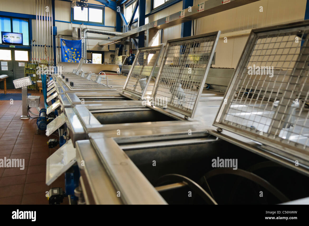 I frantoi di olive in un olio di oliva di fabbrica di produzione Foto Stock