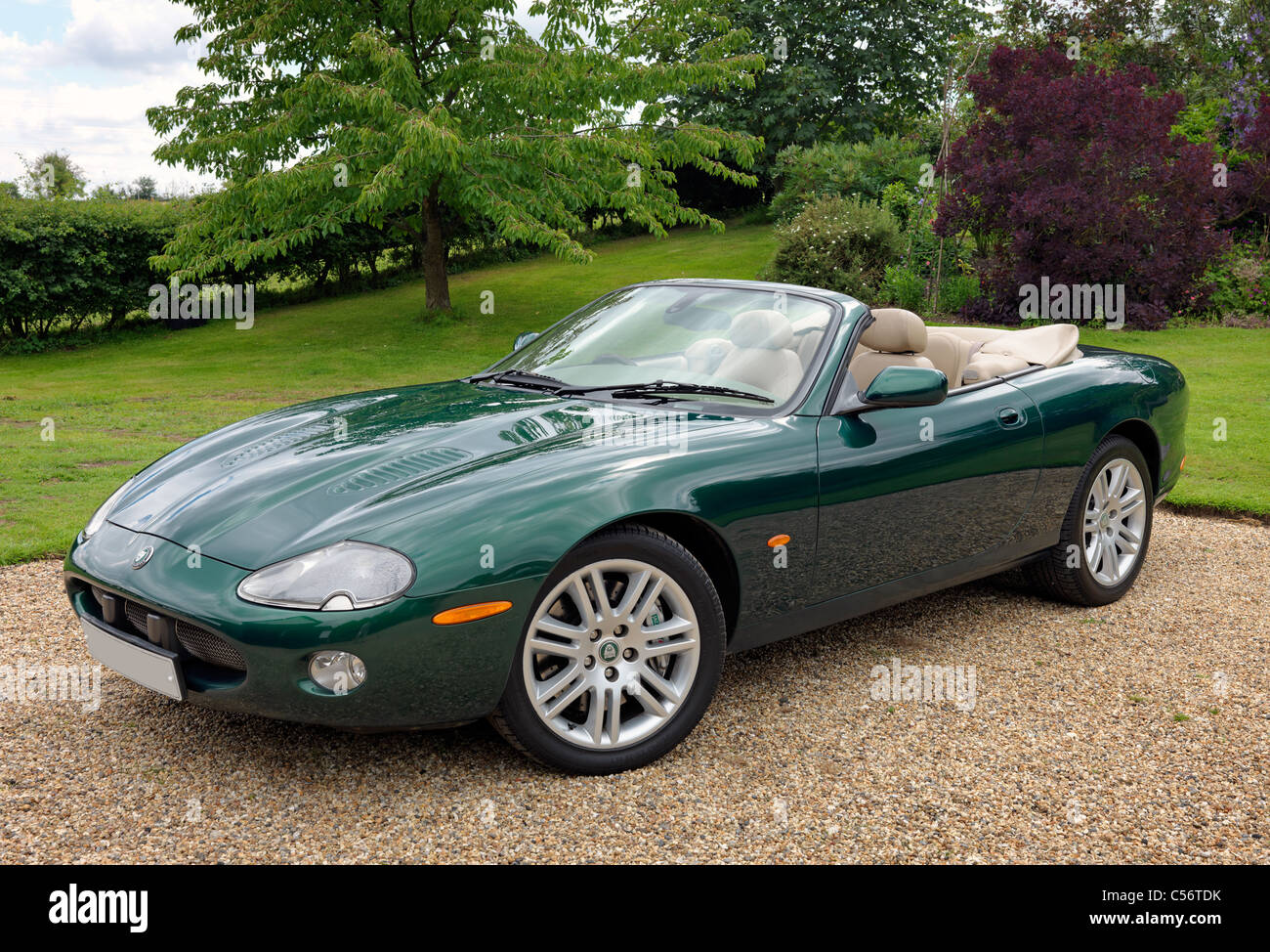Jaguar XKR convertibile sportiva, anno di modello 2003. Numero di targa resi anonimi. Foto Stock