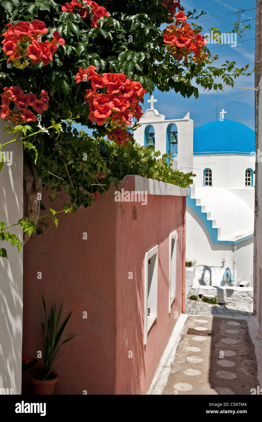 Un tipico lane nel piccolo villaggio di pescatori di Apollon (Grecia APOLLONAS), Northern, Naxos, Cicladi Grecia Foto Stock