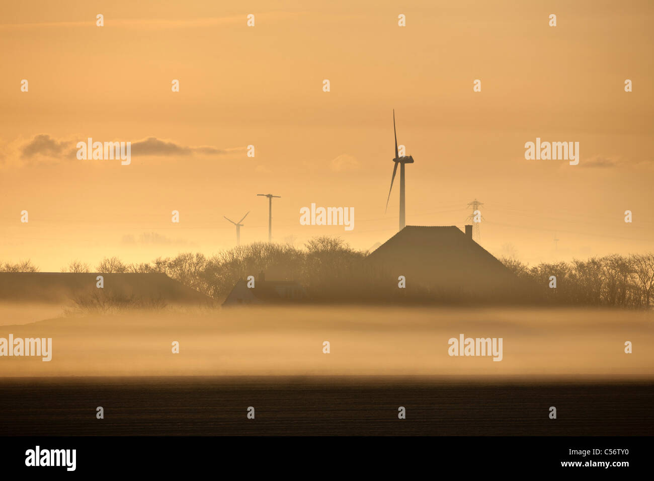 I Paesi Bassi, Callantsoog, Fattoria nella nebbia di mattina. Foto Stock