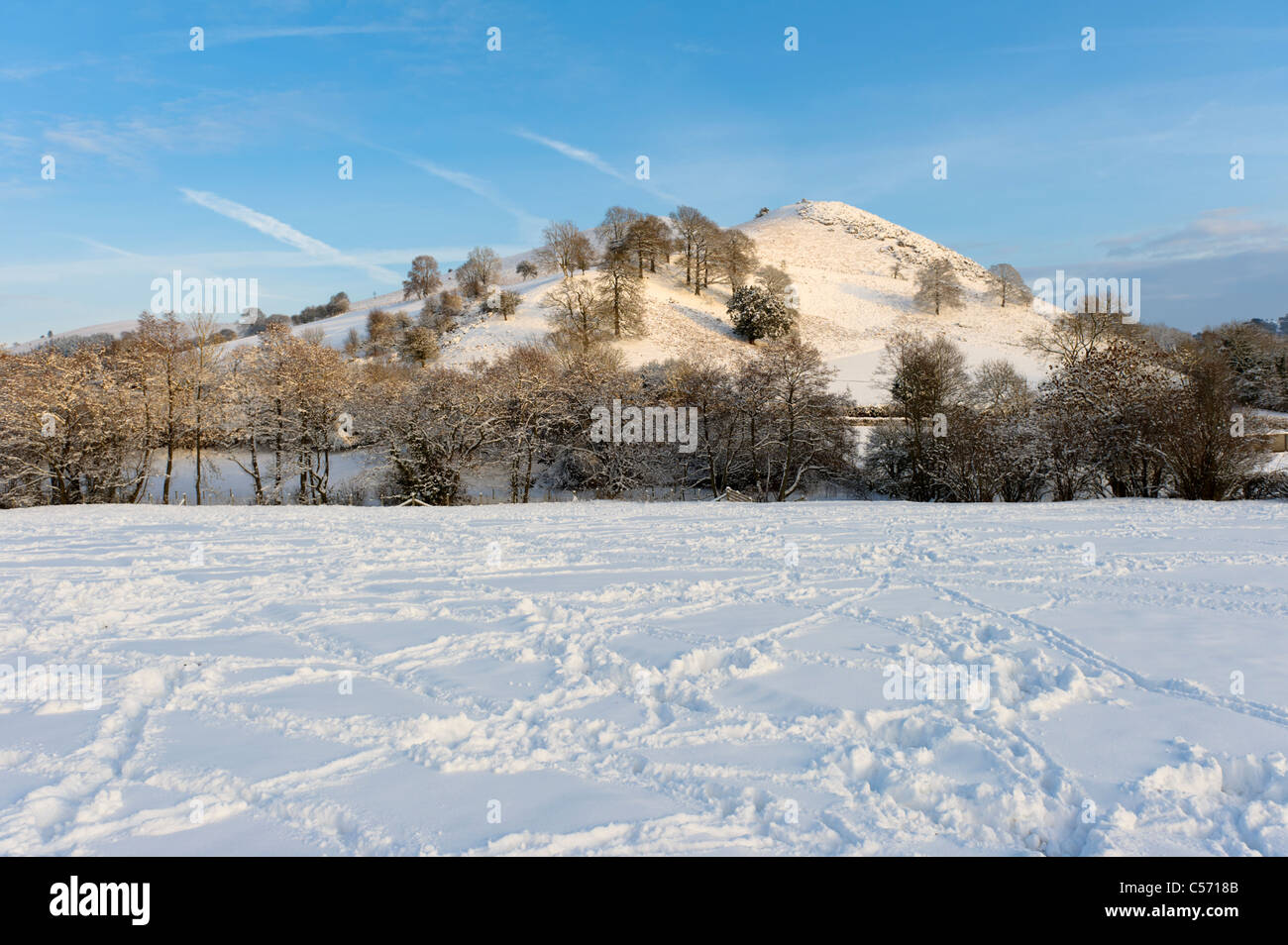 Welsh confini nevoso inverno scena, POWYS, GALLES Foto Stock