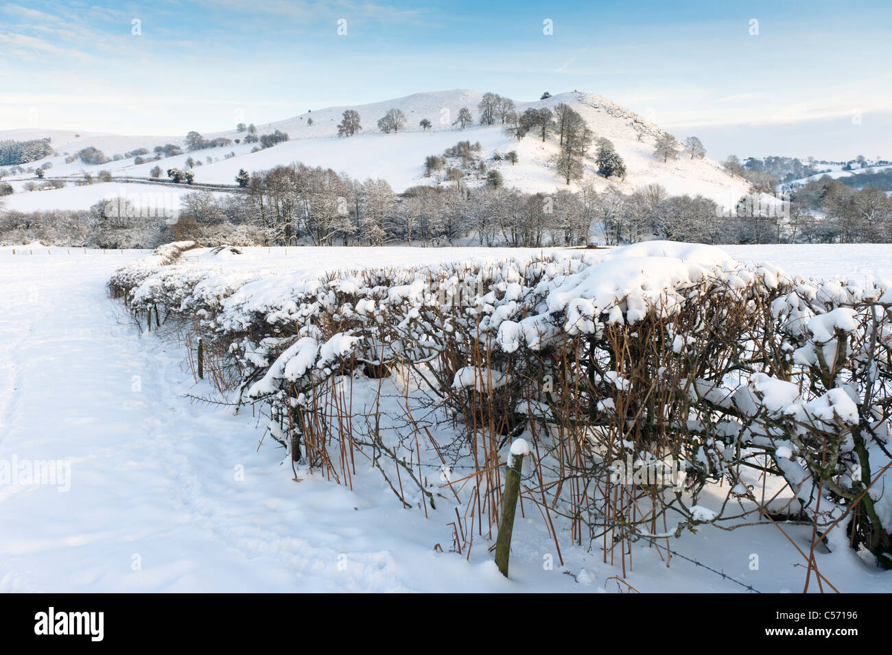 Welsh confini nevoso inverno scena, POWYS, GALLES Foto Stock